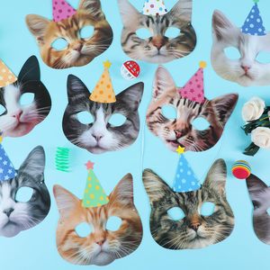 12 piezas gato favores <span class=keywords><strong>gatito</strong></span> fiesta <span class=keywords><strong>gatito</strong></span> cumpleaños máscaras Facial gato cumpleaños fiesta decoración máscaras gato tema Fiesta suministros - Product Image 2