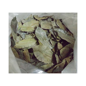 ใบมะขามป้อมแห้ง  เก็บเกี่ยวอย่างยั่งยืน  ธรรมชาติ  กราเวียโลล่า  ใบไม้สดจากธรรมชาติ  ผลไม้  ชาสมุนไพร - Product Image 1