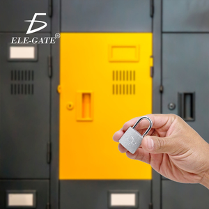 Lucchetto di Sicurezza in Ferro da 25mm con Gancio Lungo, Antifurto, Impermeabile, con Cilindro in Acciaio Inossidabile - Product Image 5