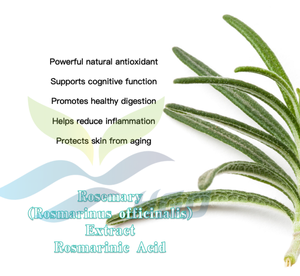 Hgo สารสกัดจากโรสแมรี่ (rosmarinus officinalis) (เกรดอาหาร) rosmarinic Acid 25% (สารสกัดมาตรฐาน) - Product Image 5