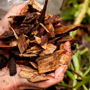 Virutas de Madera de Acacia, Pino, Eucalipto y Caucho en Venta - Virutas de Madera al por Mayor - Product Image 3