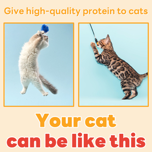 DR.BY Cat COLOSTRUM PROTEIN Treats Suplemento vitamínico para la mejora de la fuerza del gato Cuidado de la salud de las mascotas y suplementos - Product Image 3