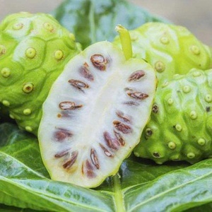 ผงโนนิเวียดนามราคาไม่แพงส่งออกคุณภาพสูงสำหรับตลาดโลก - Product Image 5