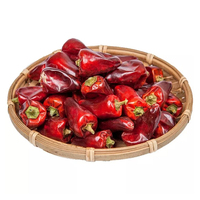 Fournisseur en gros de graines de piment de la meilleure qualité, AD, transformation brute, pur naturel, séché, allongé, rouge, sain, Chili du Brésil, 25kg