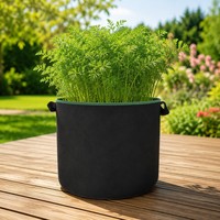 Sac de culture en feutre avec poignées, en tissu non tissé, pour légumes-racines et jardinières, vente en gros directe usine, extérieur - Offre Spéciale