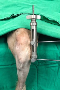 Leipzig stifle distractor cho arthroscopic đánh giá bên khum chó bụng phẫu thuật thiết bị bằng Pentax phẫu thuật - Product Image 6
