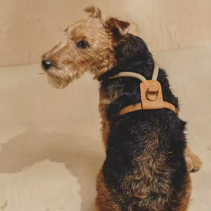 Meilleur prix Produit pour animaux de compagnie Harnais en cuir pour chien avec décoration en dentelle Harnais le plus vendu pour chiens au prix de gros - Product Image 1