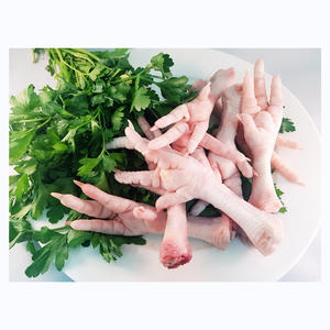 Pieds de poulet de qualité supérieure, produit avicole frais, nettoyés et transformés, adaptés aux soupes, aux ragoûts et à la cuisine traditionnelle - Product Image 5