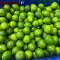 Export Kwaliteit Pitloze Kalk Uit Vietnam Geschikt Voor Wereldwijde Distributie