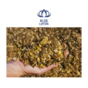 Wholesale Bulk Quantity Corn Silage Animal Food