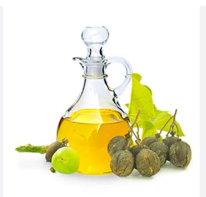 Huile de Jatropha biologique de première qualité, raffinée, pour la cuisine, en vrac, en bouteille en plastique, prix de gros - Product Image 3