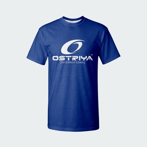 เสื้อยืดผู้ชายดีไซน์มืออาชีพ คอลเลคชั่นใหม่ปี 2026 แห้งเร็ว ระบายอากาศดี ไม่หดตัว ผ้าฝ้าย 100% 180 กรัม ทรงปกติ คอกลม - Product Image 1