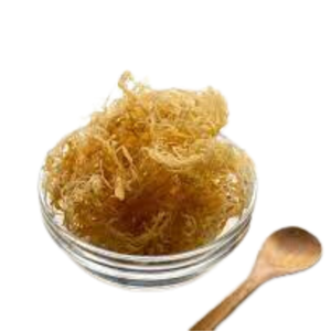 Wildcrafted <b>SEA</b> <b>MOSS</b> / IRISH <b>MOSS</b> / EUCHEUMA COTTONII Making Seamoss <b>Gel</b> From Vietnam, High Quality, Factory Price, Sustainable - Product Image 3