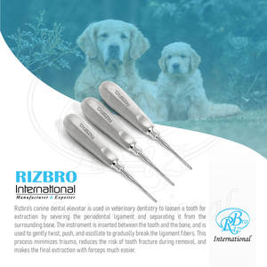 Juego de Elevadores Dentales Caninos de Acero Inoxidable con Estuche de Cremallera, Puntas de 2mm, 3mm, 4mm, 6 Pulgadas, Instrumento Quirúrgico Reutilizable para Odontología de Animales Pequeños - Product Image 3