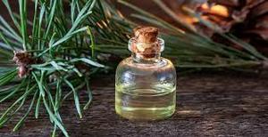 Huile de pin écossais pure 100% Vente en gros d'huile de pin écossais en vrac Huile de pin écossais naturelle et pure - Product Image 3