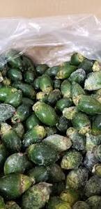 NOIX DE BETEL ENTIER CONGELÉE/SÉLECTIONNÉE À LA MAIN/PRODUIT TRADITIONNEL - Product Image 6