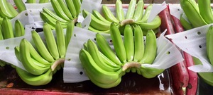 PLÁTANO TROPICAL FRESCO/ALTO EN NUTRIENTES/ETIQUETA LIMPIA/VEGANO - Product Image 6