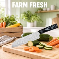 Europees Familiekeuken Santoku Koksmes voor Dagelijks Koken, RVS Geborsteld Afwerking Lemmet, Vlees & Groente Voorbereiding