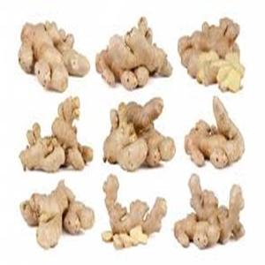 Jengibre fresco orgánico de piel marrón gruesa para beneficios culinarios y de salud disponibles a precios asequibles - Product Image 4