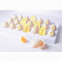 Juguete del Ciclo de Vida del Pollo, Kit Científico de Incubación de Huevos de 21 Días para Niños de 4 a 6 Años con Bandeja de 21 Huevos que se Abren y Modelo de Pollito
