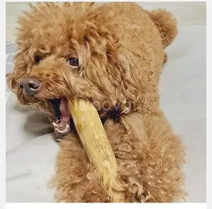 I giocattoli per cani da compagnia da masticare per cani da caffè forniscono la rasatura del legno-Bella