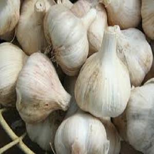 Wholesale China <b>Fresh</b> <b>Garlic</b> of Good Quality Size 4.0-7.0 cm - Product Image 5