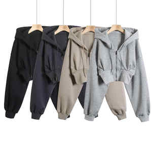 Haute qualité 100% coton fermeture éclair sweat à capuche vierge polaire lourd surdimensionné sweat à capuche zippé pour les femmes pull - Product Image 1