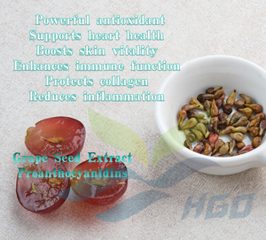 HGO Suministro directo de fábrica Extracto de semilla de uva (grado alimenticio) Especificación 90% - 95% Proantocianidinas (extracto estandarizado) - Product Image 3