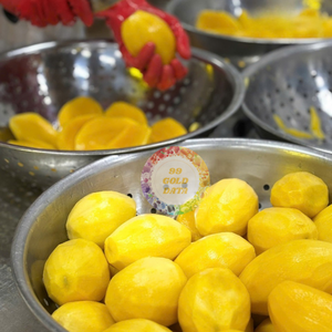Vente chaude 2026 99 Gold Data Mango surgelé de haute qualité LQF en tranches sous vide, fruits conservés fabriqués au Vietnam, conservation à l'eau - Product Image 2