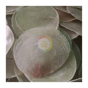 FEUILLE CLAIRE DE LUXE EN COQUILLE POUR LA DÉCORATION DE LA MAISON COMME LA CLOCHE VENTEUSE ET LE RIDEAU - Product Image 2