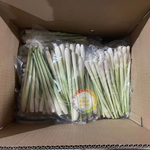 Approvisionnement en vrac sans OGM de citronnelle congelée de haute qualité directement du Vietnam pour l'industrie des aliments et des boissons-Caryln 0084935825297 - Product Image 2