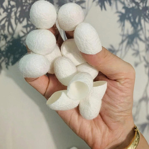 High Purity <b>Silkworm</b> Cocoon Natural Color Yellow White Raw <b>Silkworm</b> Cocoon Ideal for Silk Yarn Herbal Skincare and Textile - Product Image 6