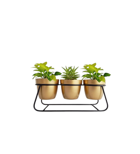 ที่ปลูกต้นไม้ในร่มโลหะสีทองพรีเมี่ยมของตกแต่งสวนสำหรับโชว์สมุนไพรและดอกไม้ - Product Image 6