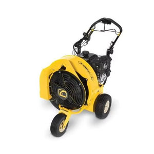 Expédition rapide CUB CADET CB2900 Souffleur de feuilles à gaz Support OEM personnalisable de qualité bricolage - Product Image 1