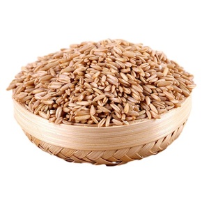 Grains d'avoine séchés biologiques à vendre - Product Image 5