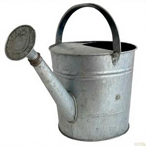 Pichet d'eau galvanisé Classic Farmhouse avec buse étendue et large ouverture pour un remplissage sans effort à partir de n'importe quelle source d'eau - Product Image 2