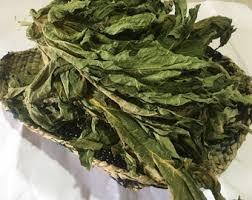 HOJAS DE PAPAYA SECAS ORGÁNICAS/IMPULSO INMUNE/ETIQUETA LIMPIA/TIERRA CULTIVADA - Product Image 3