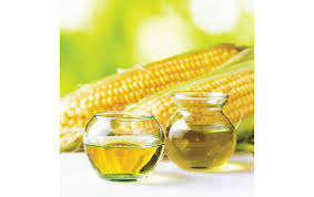 Maíz Amarillo/Maíz Blanco para Consumo Humano, Maíz Amarillo Sin OGM/Maíz Amarillo para Alimentación Animal - Product Image 4