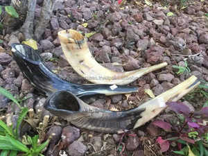 Cuerno de Shofar con diseños antiguos de WONDER OVERSEAS - Product Image 5