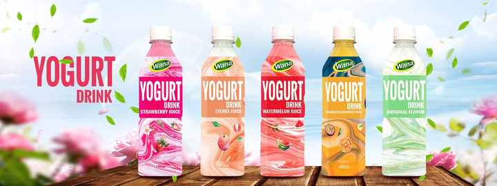 OEM/Private Label Yogurt Drink With Lychee Chocolate Coffee Grain Flavors in 500ml PET Bottle for Adults and Children