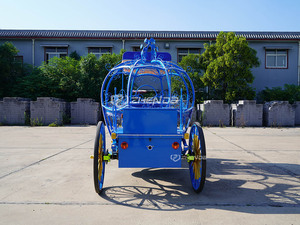 Carruaje de Calabaza Eléctrico con Toldo, Color Azul, para Paseos Turísticos al Aire Libre, Modelo Zhenda, Últimos Modelos - Product Image 3