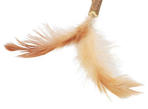 ของเล่นสุนัขเคี้ยวการ์ตูนเป็นมิตรต่อสิ่งแวดล้อมพร้อมไม้กายสิทธิ์แฟนซีสำหรับเล่นทีเซอร์ - Product Image 2