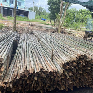 Pôles en bambou vietnamien de qualité supérieure, conçus pour la résistance, la polyvalence et des performances durables dans de nombreux secteurs - Product Image 1