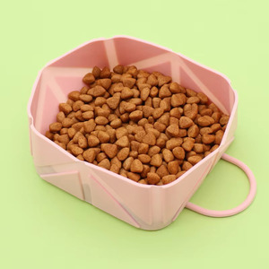 ชุดชามอาหารสุนัขแบบพับได้ทำจากซิลิโคนพร้อมคลิปหนีบหัวเข็มขัดแบบพกพาจานให้อาหารสุนัขสัตว์เลี้ยงชามน้ำแบบพับได้สำหรับกลางแจ้ง - Product Image 6