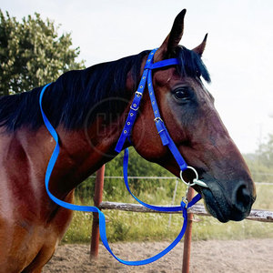 Cómodas bridas para montar a caballo hechas en Pakistán Precio razonable Material sólido Bridas para montar a caballo - Product Image 5