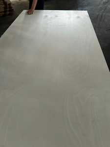 แผ่นไม้อัด4x8เชิงพาณิชย์ดีไซน์ทันสมัยความหนา18มม. ใช้ E0ฟอร์มาลดีไฮด์ - Product Image 5