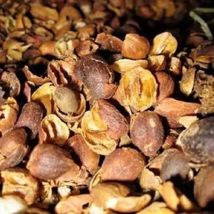 Tốt nhất người bán Tanzania ca cao tự nhiên thành phần Bán Buôn Vỏ ca cao nông nghiệp chất thải - Product Image 2