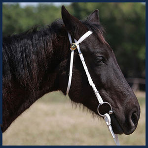 Brida ligera y cómoda para montar a caballo, hecho a medida, su propio diseño, de alta calidad, venta al por mayor - Product Image 2