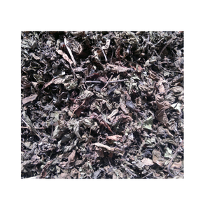 Fournisseur direct vente en gros de gelée d'herbe noire de haute qualité de gelée d'herbe verte comme ingrédient dans le thé au lait - Product Image 1