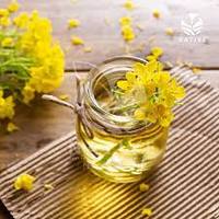 Minyak Rapeseed Canola Non-GMO Kualitas Ekspor |   Pemasok Grosir Flexi Tanks Kaya Omega-3 Sehat untuk Jantung, Umur Simpan Panjang, Afrika Selatan